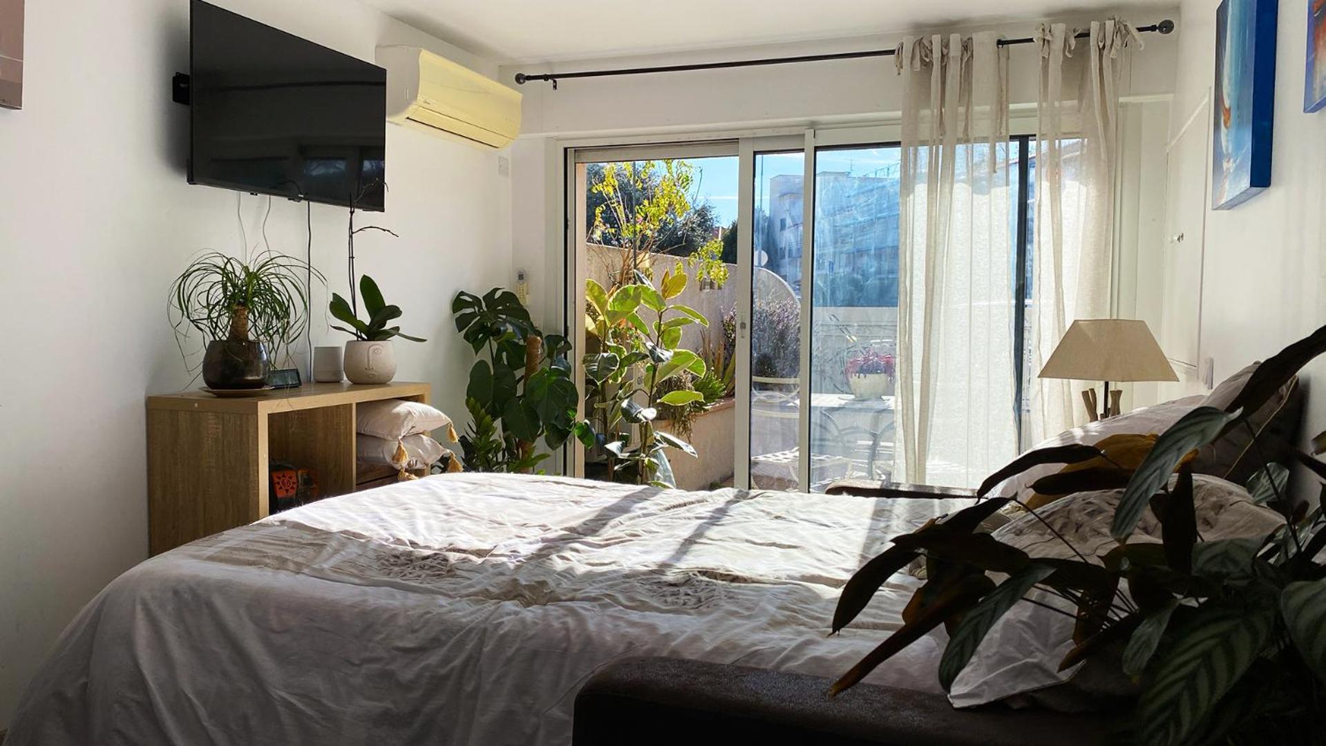 Studio Clair, Climatise Avec Jardin Et Parking Perpignan Kültér fotó